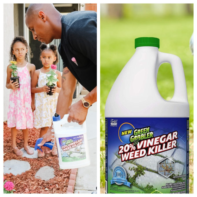 Green Gobbler Amazon Storefront Review – Powerful Cleaning Solutions Made Simple