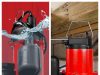 Red Lion Review: Dependable Water Pumps for Demanding Jobs
